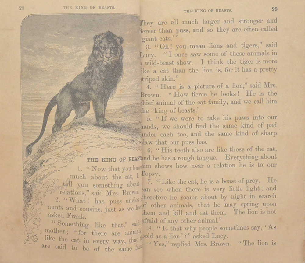 THE ROYAL STAR READERS No. 2 (ขายตามสภาพ)