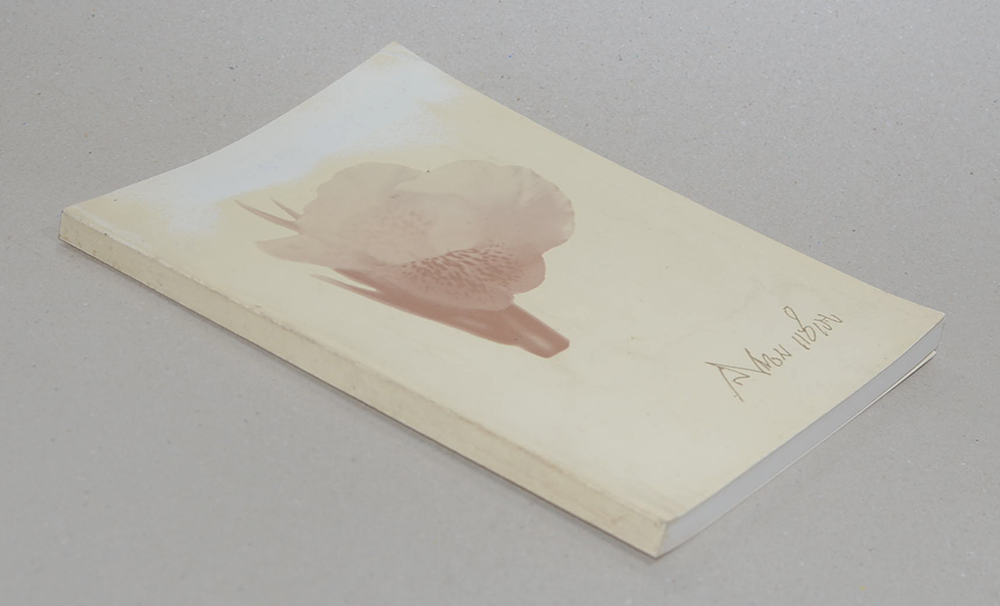 นายเสียวหวม แซ่เฮง (ย้อนกระแสแลอดีต)