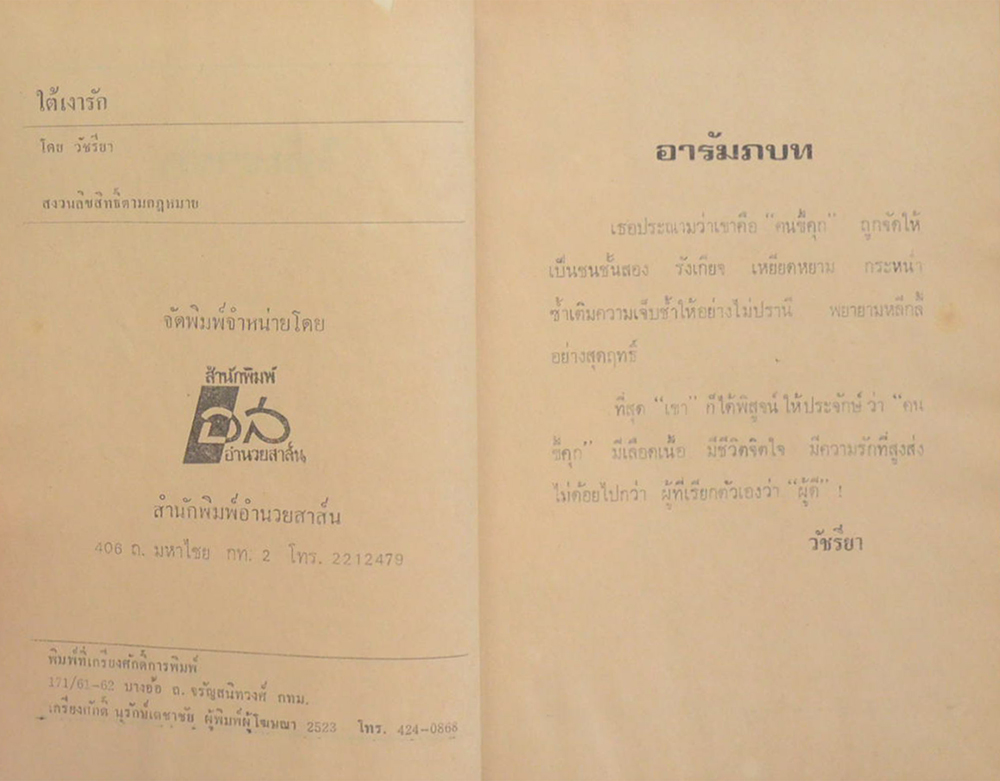 ใต้เงารัก (เล่มเดียวจบ)