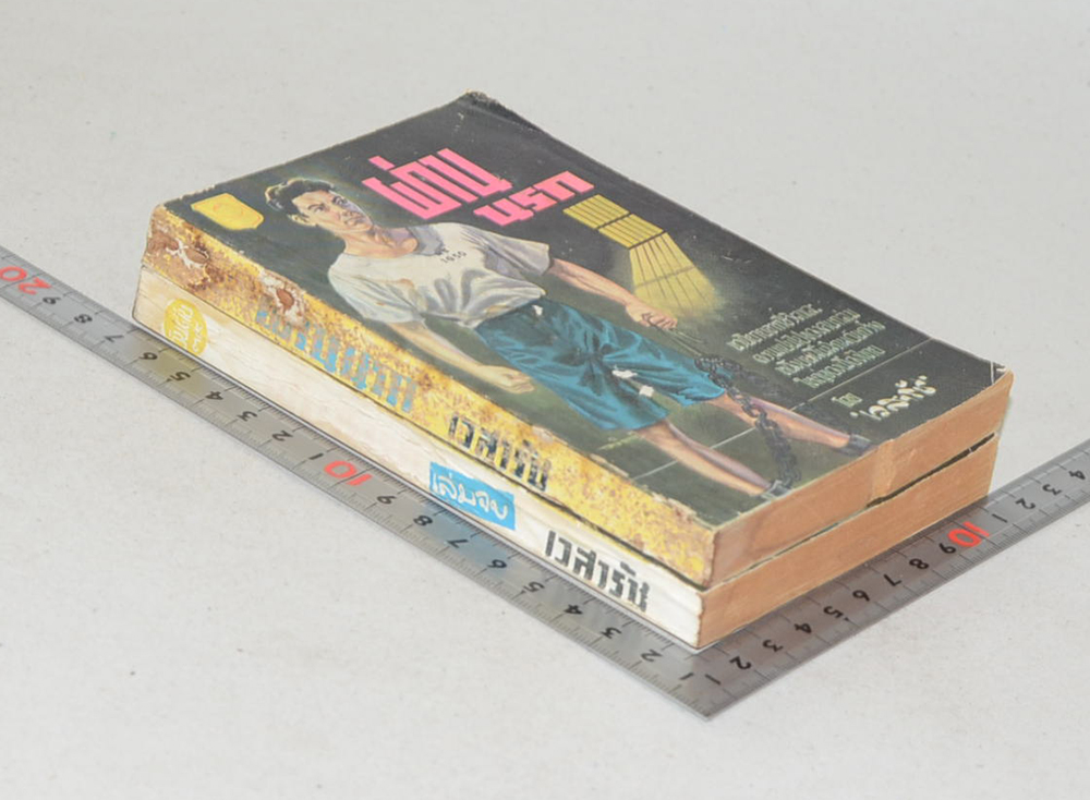 ผ่านนรก (2 เล่มจบ / เล่มเล็ก) (ขายตามสภาพ)