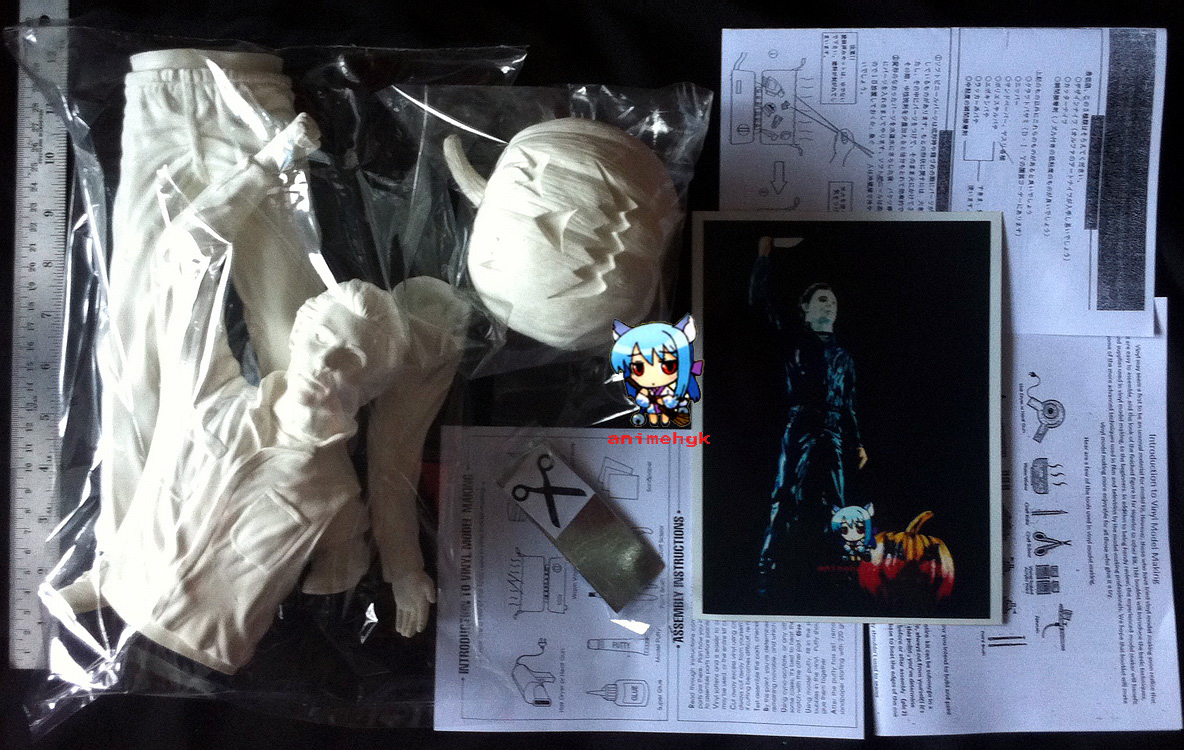 Curse of Michael Myers , Halloween 1/4