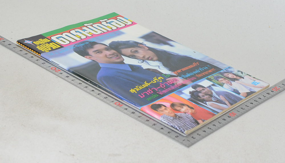 อนุทินคู่ชีวิต ดารา-นักร้อง ปีที่ 31 ฉบับที่ 485 มีนาคม 2541