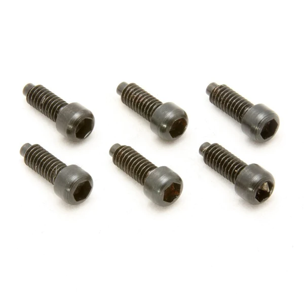 Floydrose Pro String Lock Screws