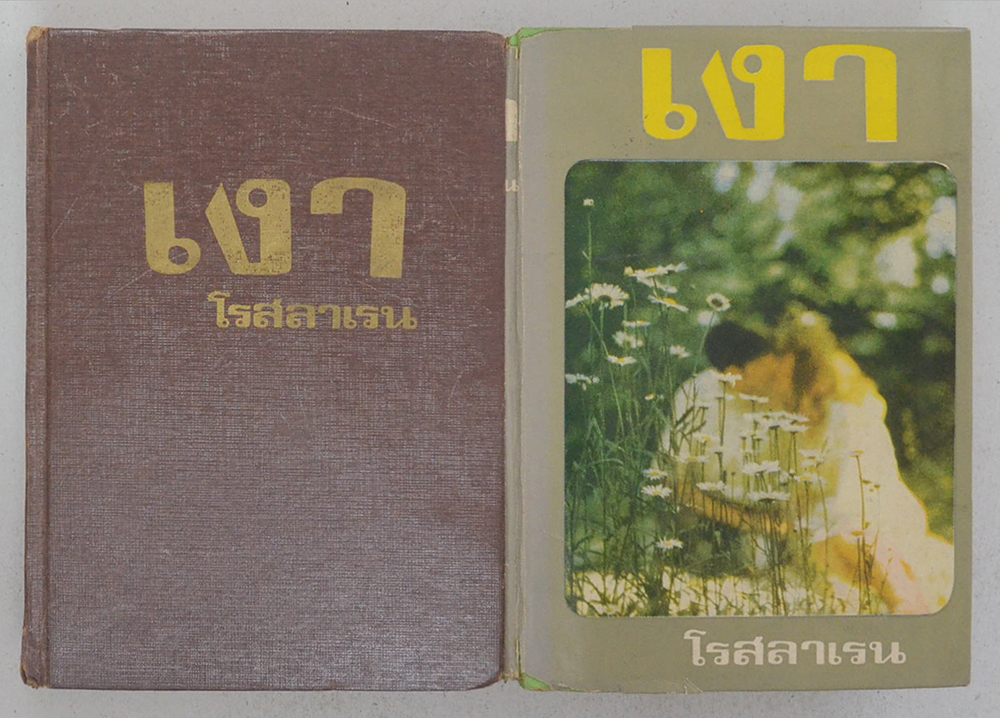 เงา (2 เล่มจบ)