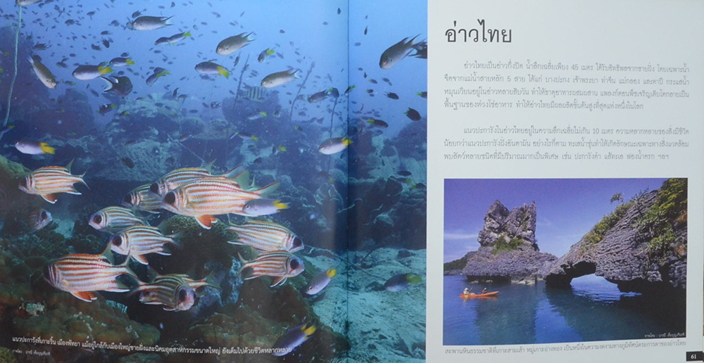 ทะเล ปะการัง และชายหาด