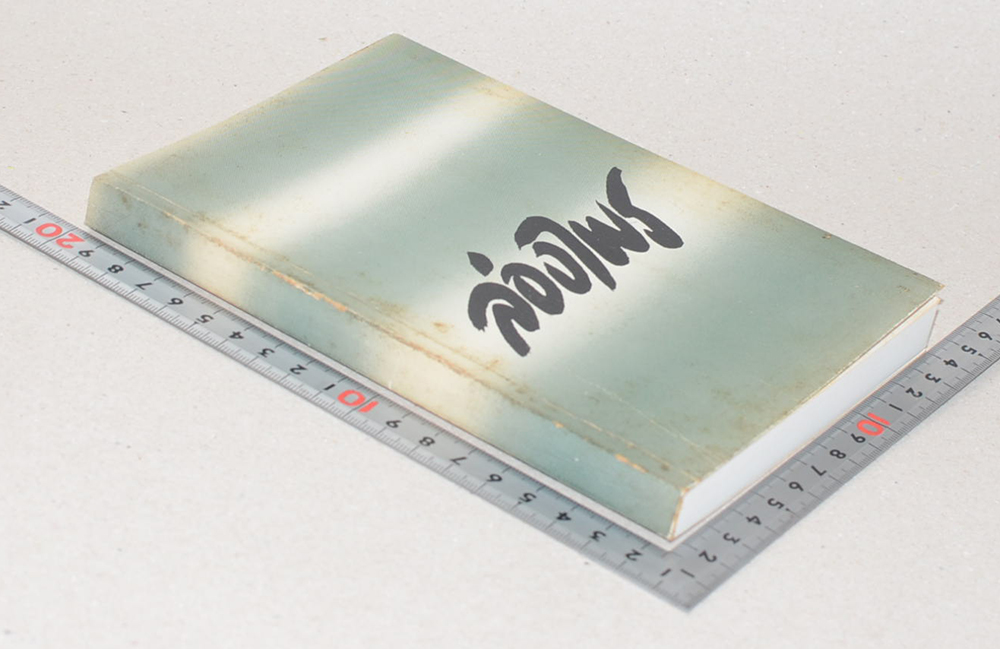 ล่องไพร ตอย อ้ายแก และ งาดำ