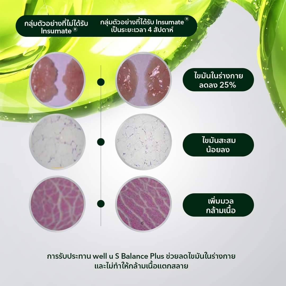 เอส บาลานซ์ พลัส ราคา