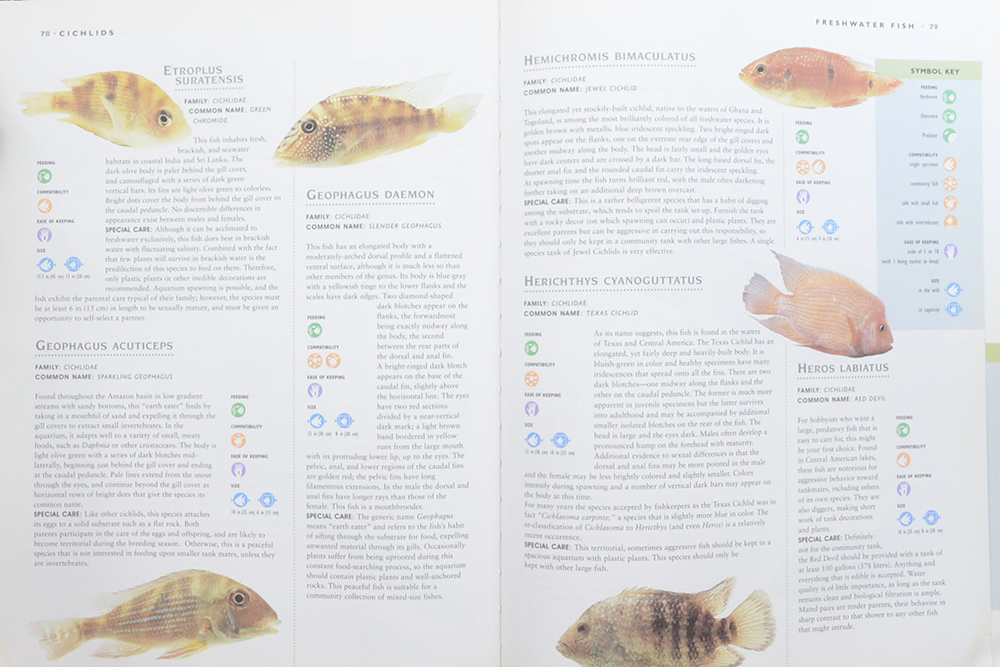 the Encyclopedia of Aquarium Fish