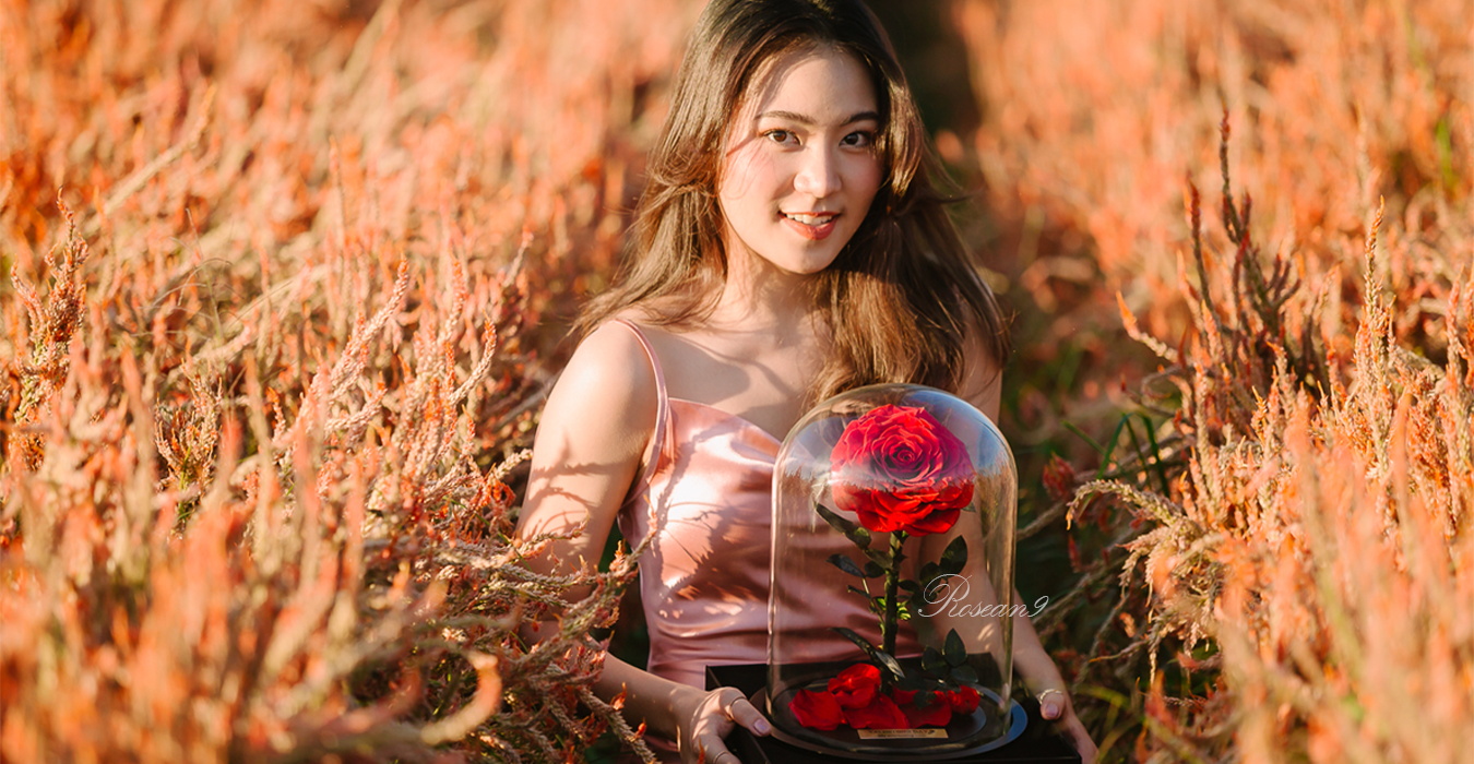 กุหลาบอมตะ Special selection กุหลาบดอกใหญ่ กุหลาบในโหลแก้ว กุหลาบวาเลนไทน์ ดอกไม้วันเกิด ของขวัญวันครบรอบ ช่อกุหลาบแดง
