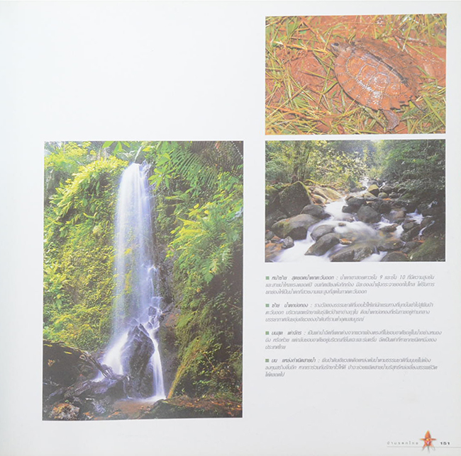 ป่ามรดกไทย อาณาจักรพรรณพืชและสรรพชีวิตแห่งป่าเขตร้อน (ขายตามสภาพ)