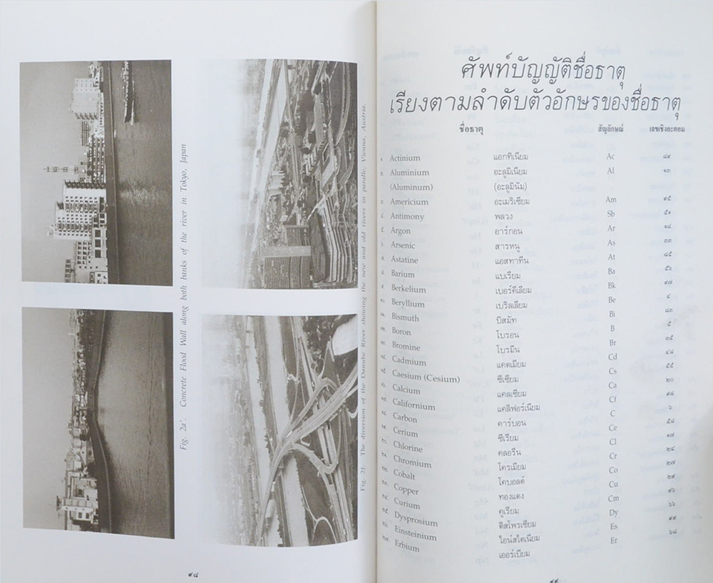 พลโท พระยาศัลวิธานนิเทศ (แรงงานไทย กับ คุณภาพชีวิต ปัญหาทางสังคมในยุคเมืองไทยจะเป็นนิกส์)