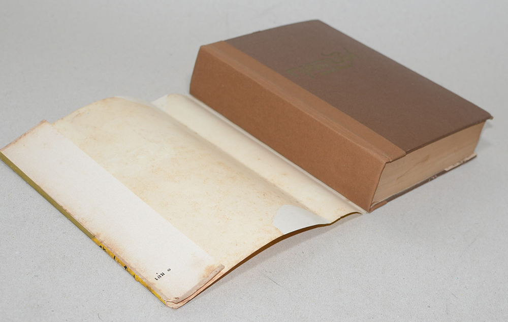 กุหลาบไฟ (เล่ม 1 / ไม่จบ)