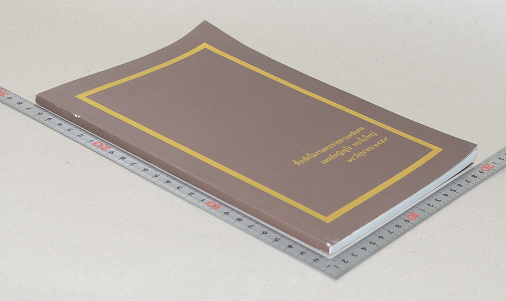 แพทย์หญิงอุไร ทองใบใหญ่ (ชีวประวัติ)