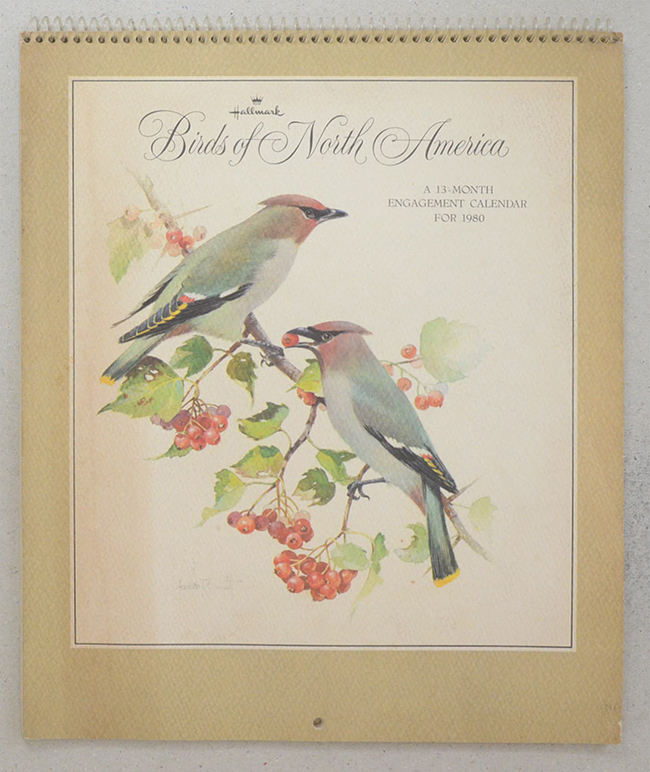Birds of North America