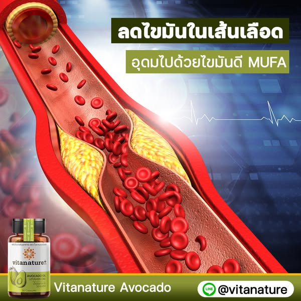 ไวตาเนเจอร์พลัส น้ำมันอะโวคาโด ลดไขมันในเส้นเลือด อุดมไปด้วยไขมันดีMUFA น้ำมันอะโวคาโด