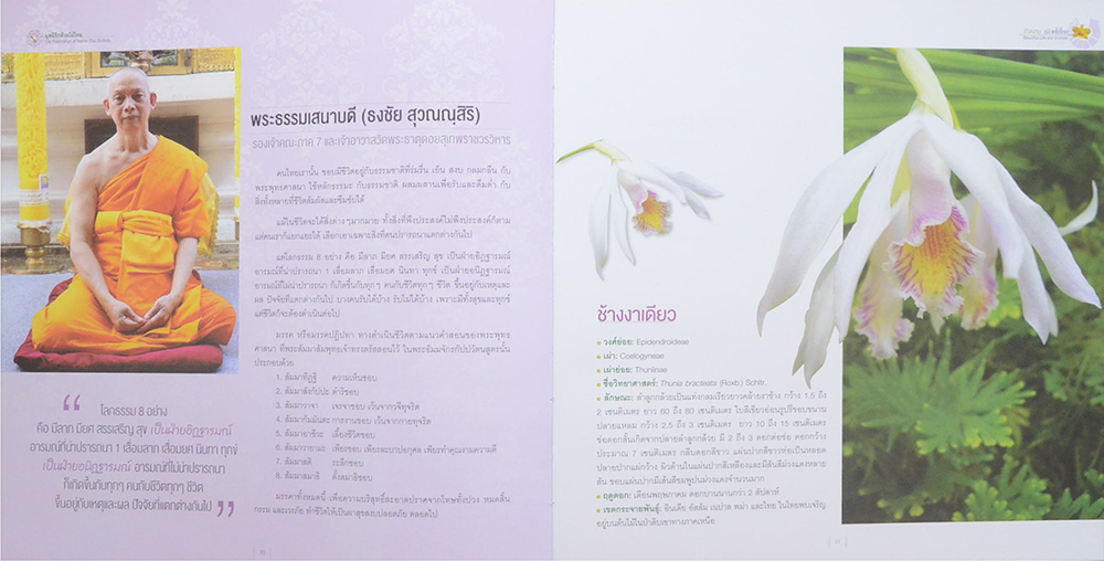 ชีวิตงาม กล้วยไม้ไทย (ขายตามสภาพ)