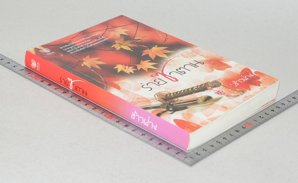 ร่ายซาตาน (เล่มเดียวจบ)