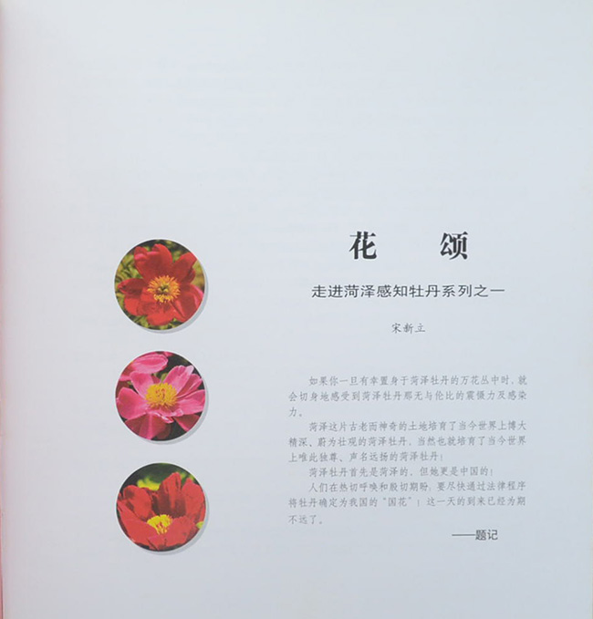 Guose tianxiang caozhoumudan (พร้อมกล่อง)