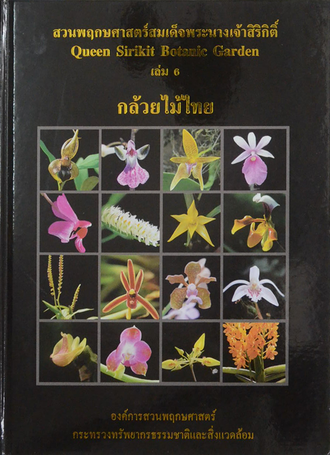 สวนพฤกษศาสตร์สมเด็จพระนางเจ้าสิริกิติ์ เล่ม 6 กล้วยไม้ไทย (ขายตามสภาพ)