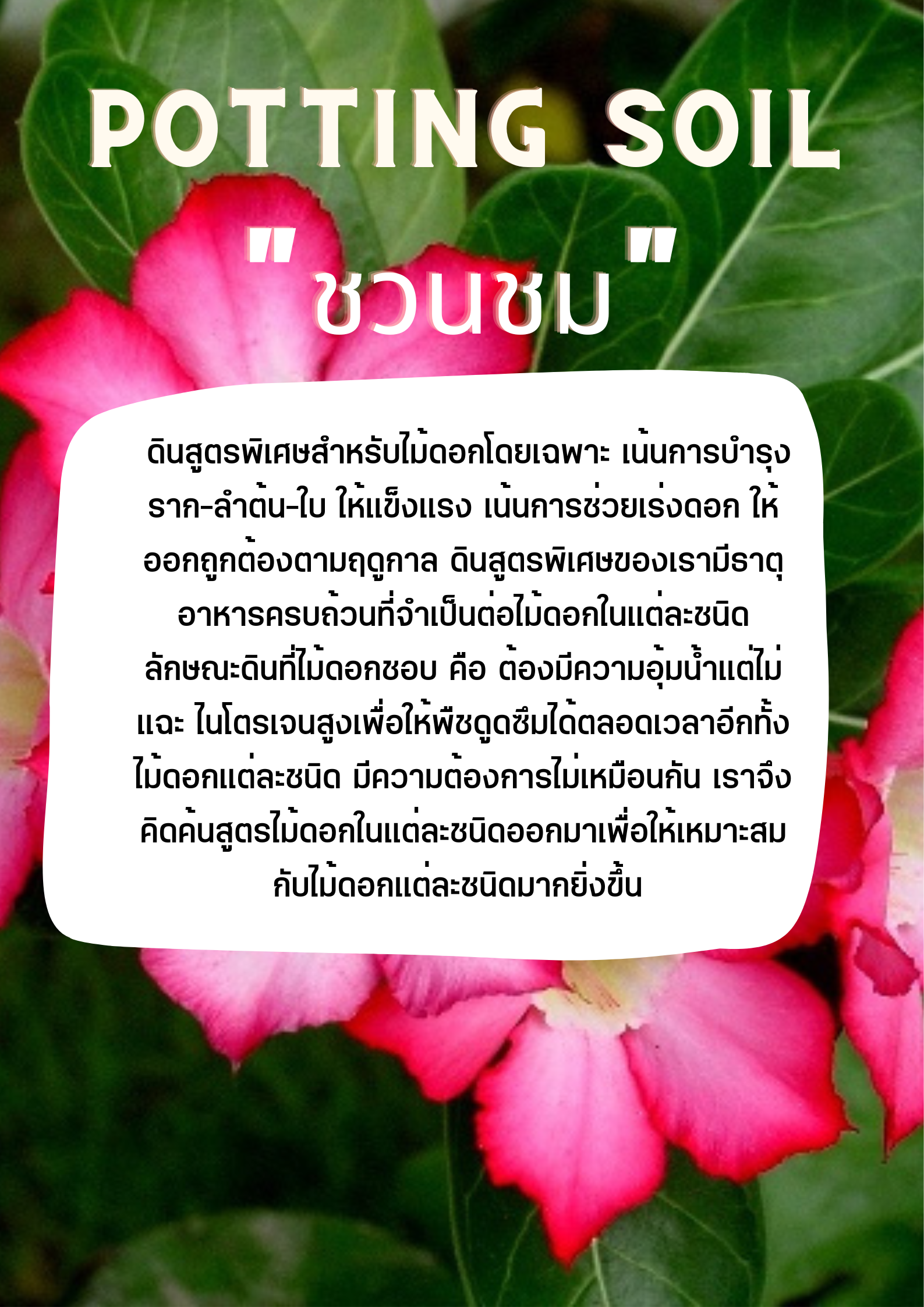POTTING SOIL ดินชวนชม
