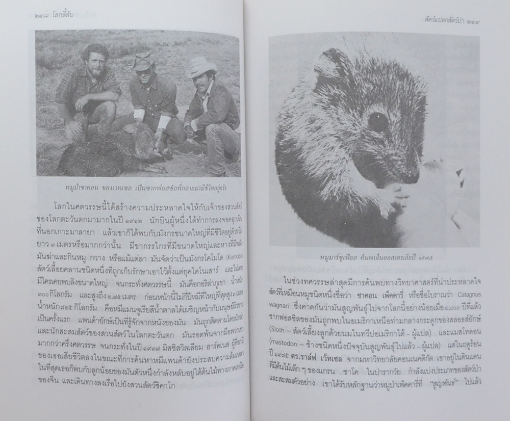 โลกลี้ลับ