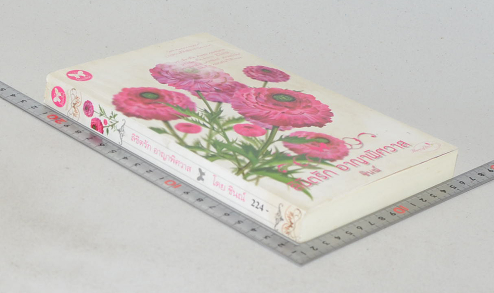 ลิขิตรัก อาญาพิศวาส (เล่มเดียวจบ)