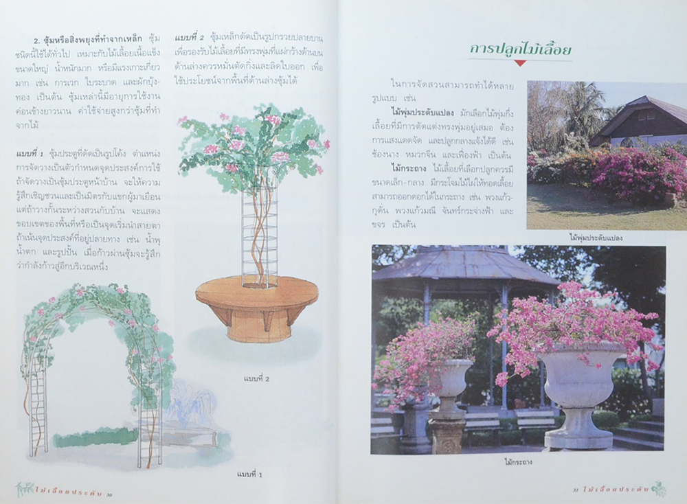 ไม้เลื้อยประดับ