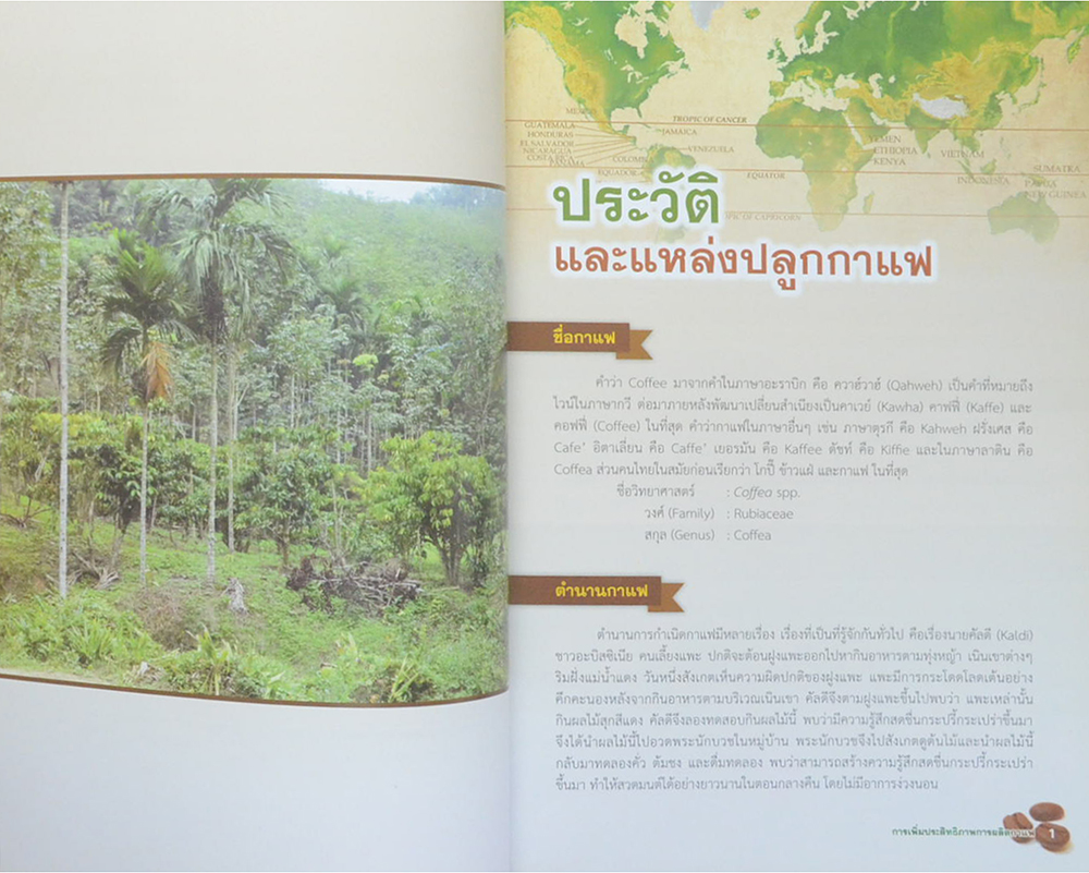 การเพิ่มประสิทธิภาพการผลิตกาแฟ (ขายตามสภาพ)