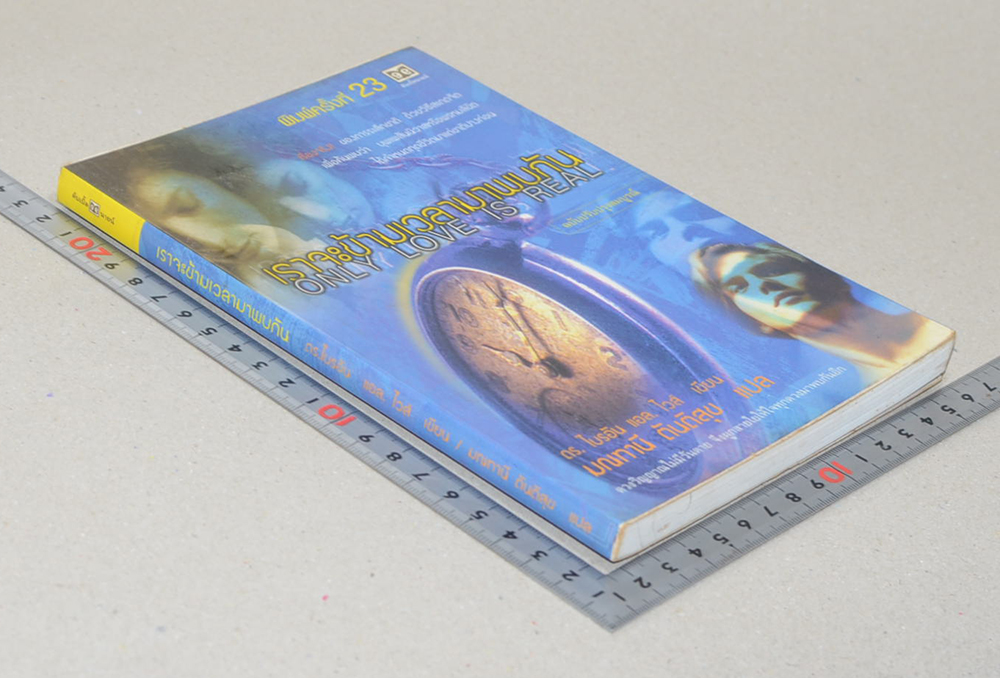 เราจะข้ามเวลามาพบกัน