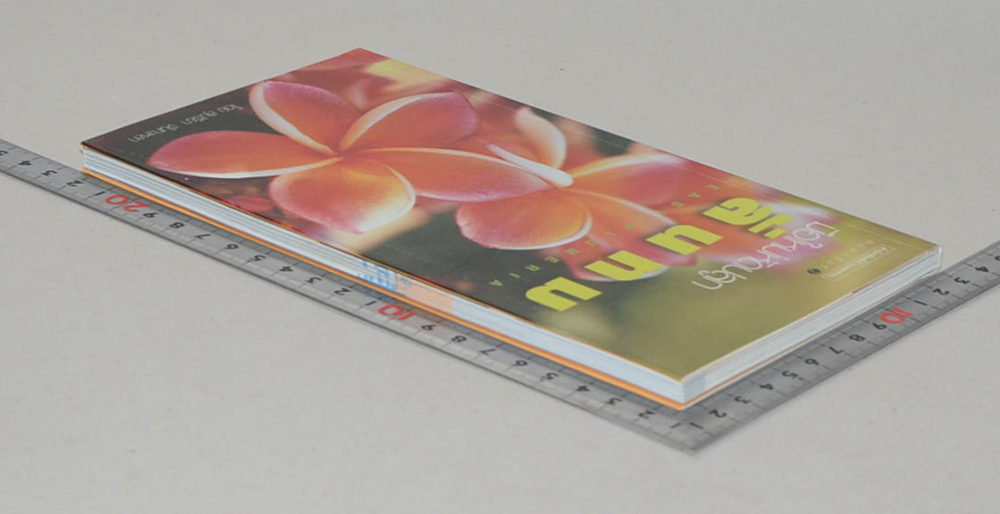 มือใหม่หัดปลูกลั่นทม (ขายตามสภาพ)