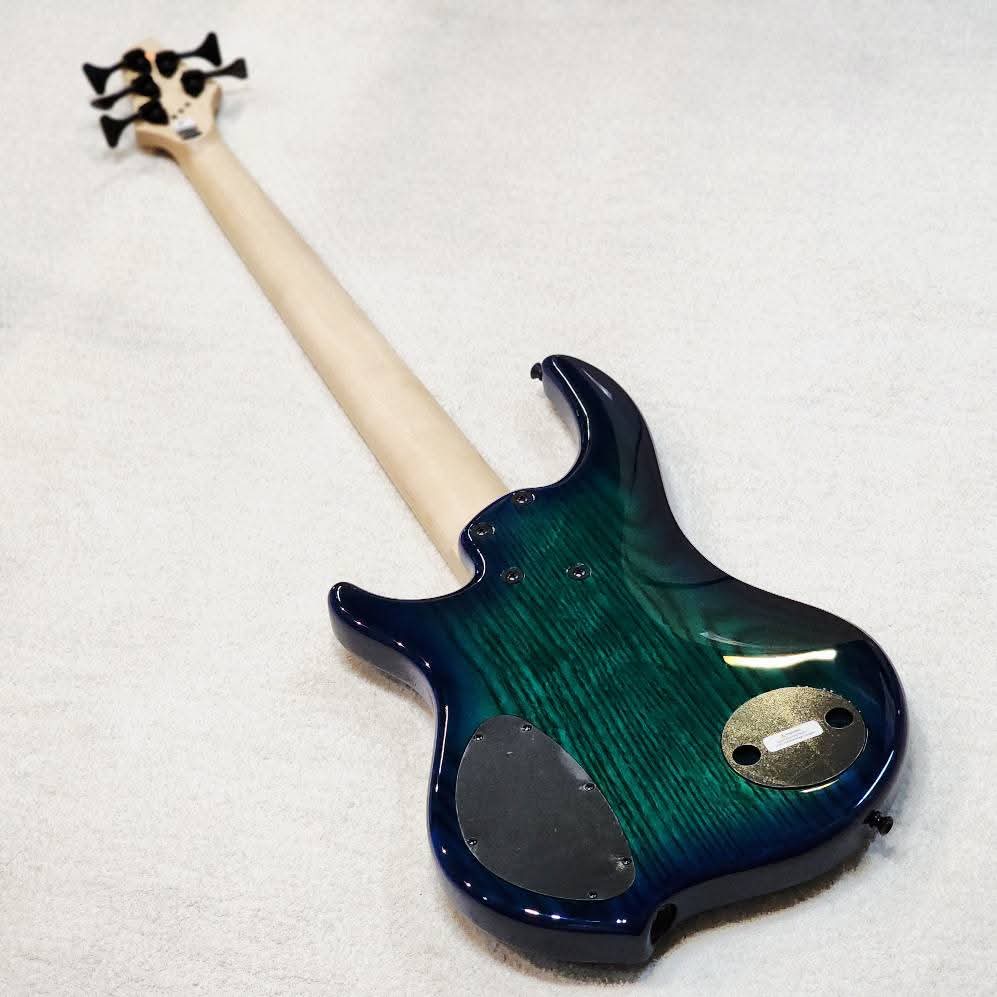 DINGWALL COMBUSTION C3-5 MAPLE BOARD - WHALEPOOL BURST