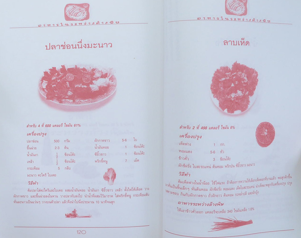 พลตำรวจตรี คำนึง ธรรมเกษม (อาหารในระหว่างล้างพิษ-น้ำสมุนไพร)