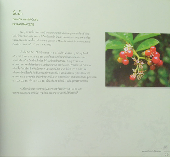 พรรณไม้เกียรติประวัติของไทย