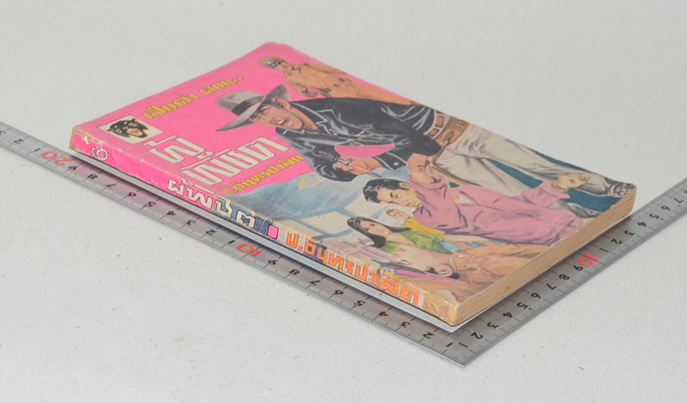 เสือดำ ตอน ผู้พิชิต (เล่ม 6)