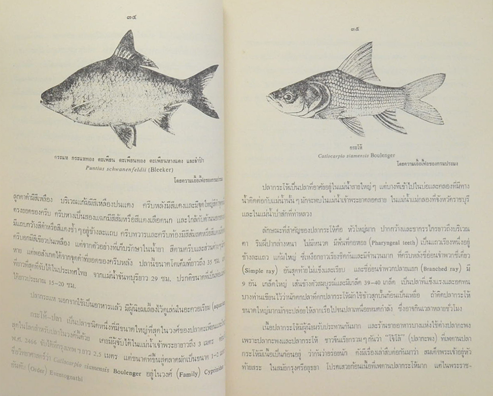 ปกิณกะประมง