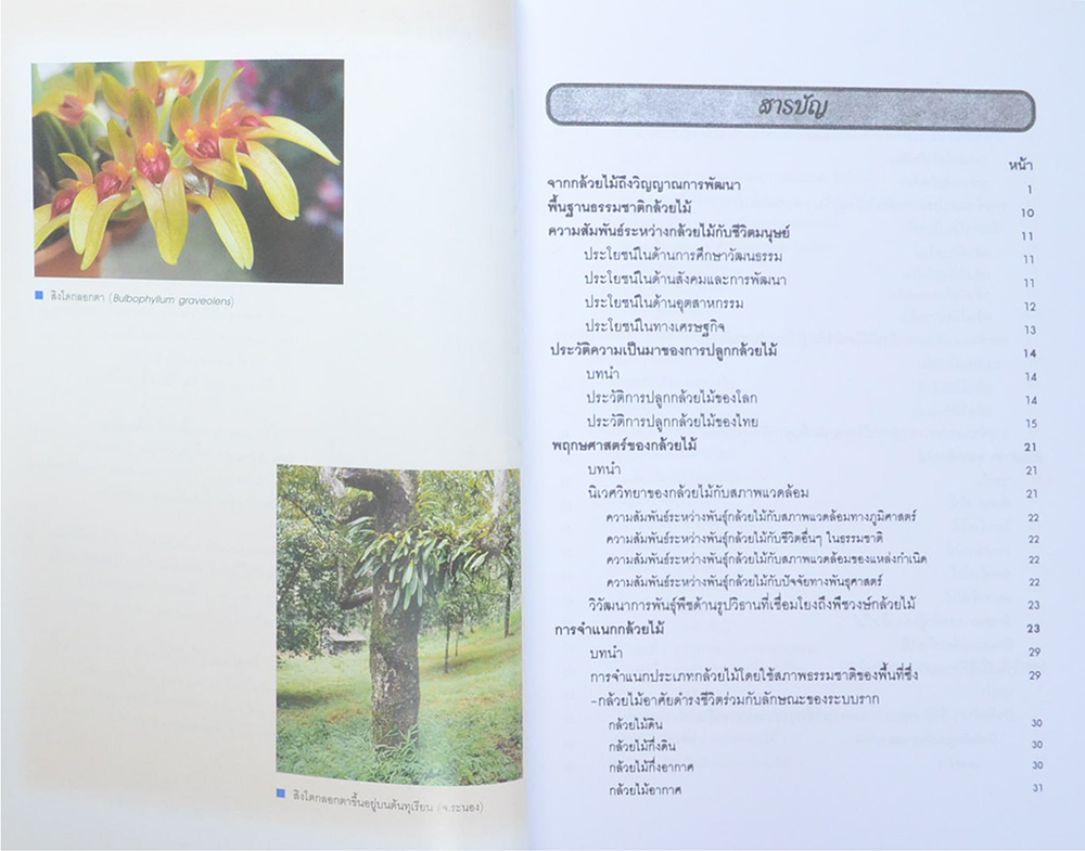 กล้วยไม้สำหรับผู้เริ่มต้น (หนังสือมีมากกว่า 1 เล่ม)