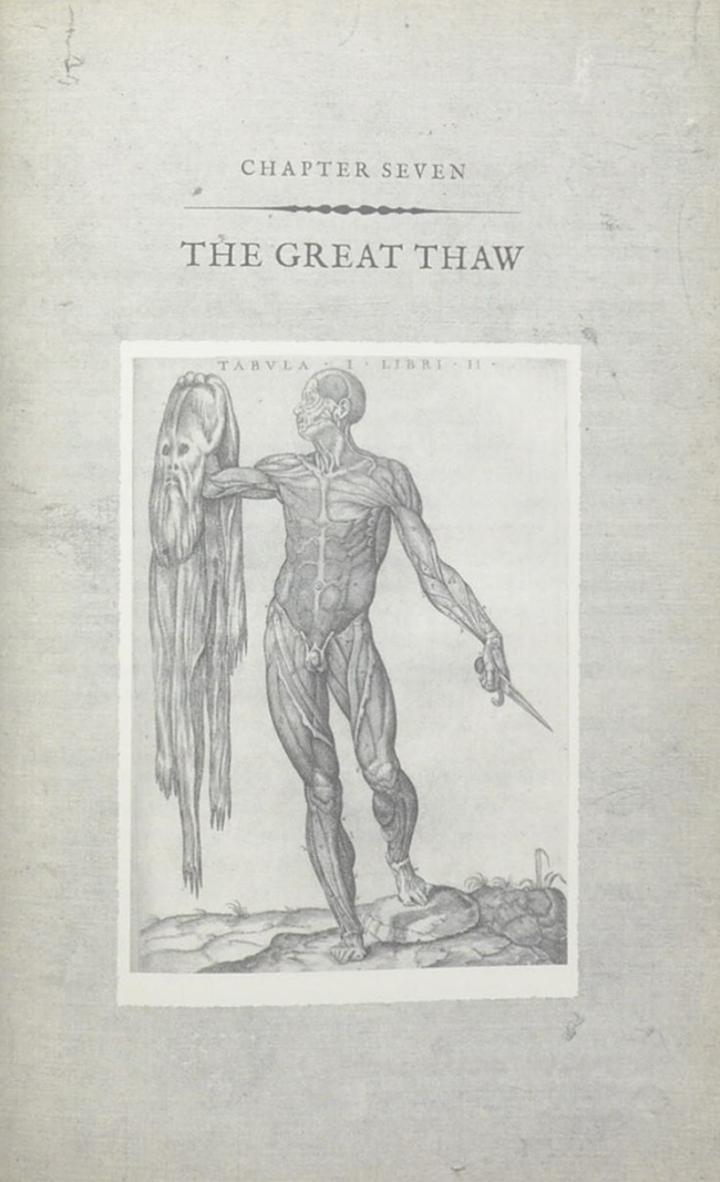 DR. MUTTER’S MARVELS