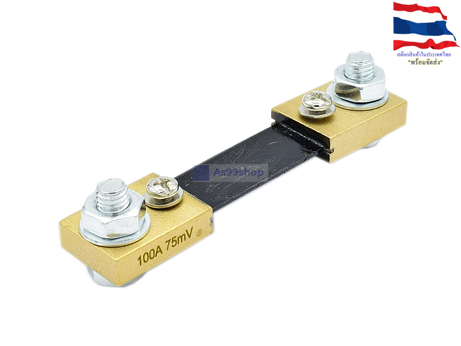 100A Shunt Resistor ตัวต้านทานชันต์ (R-Shunt)