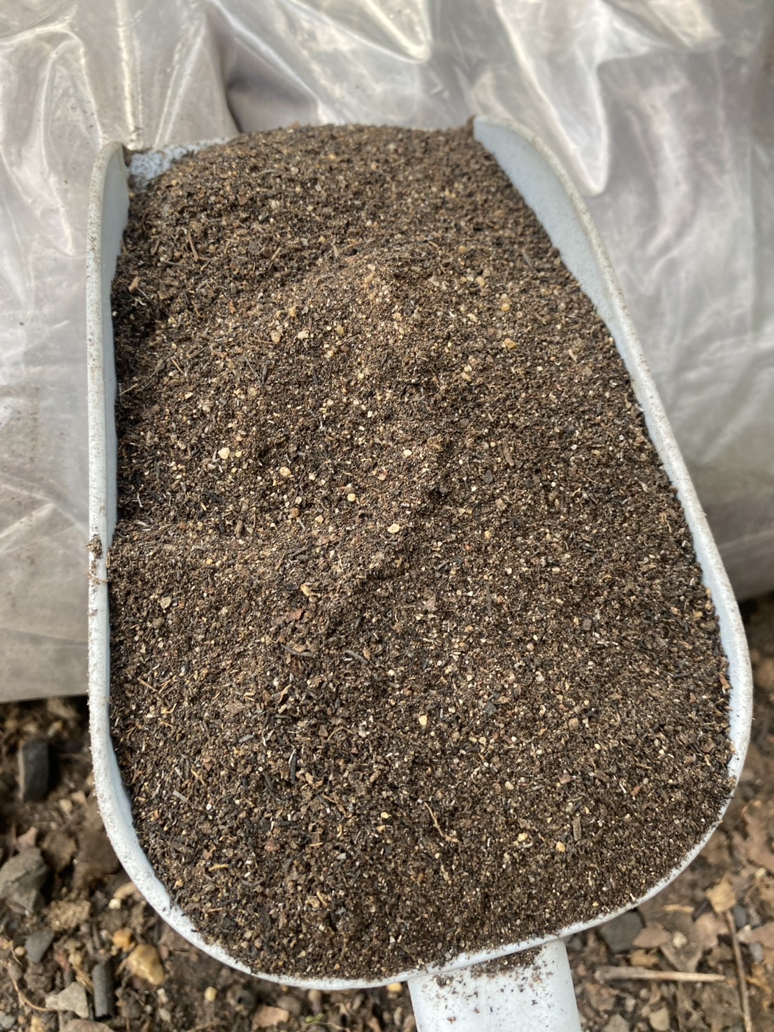 ดินหมักเพาะเมล็ด