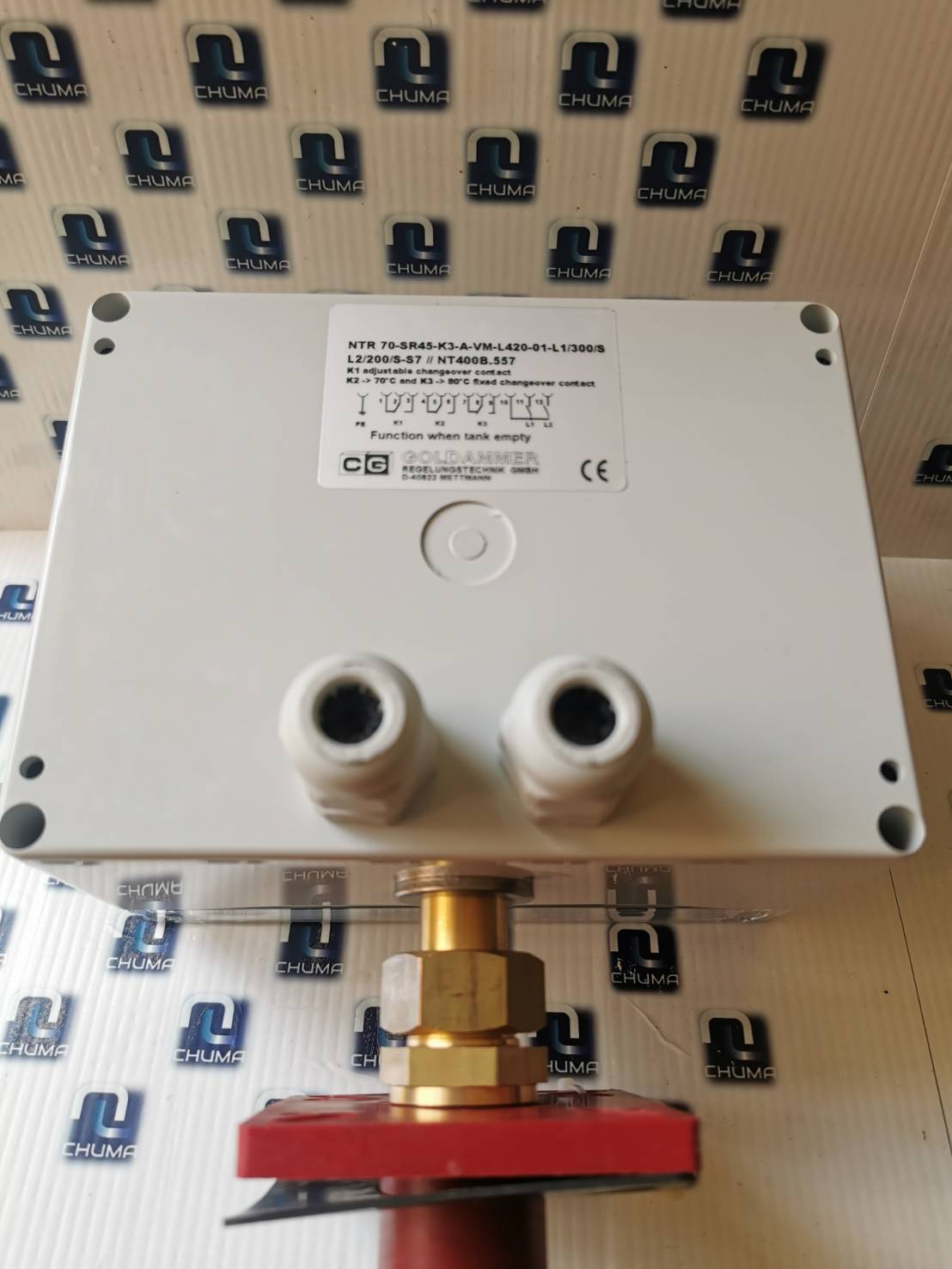 CG Goldammer, Goldammer, Temperature Capillary Tube ,Regulator, NTR70-SR45-K3-A-VM-L420-01-L1/300/S L2/200/S-S7, NT400B.557