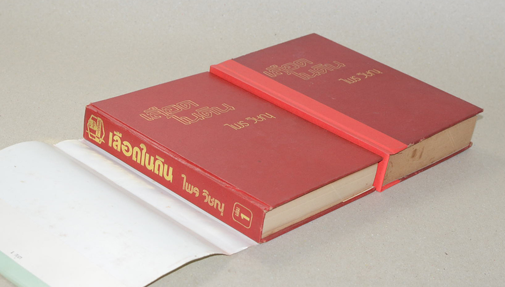 เลือดในดิน (2 เล่มจบ)