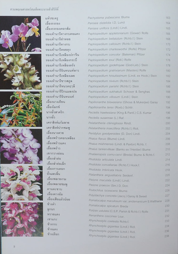 สวนพฤกษศาสตร์สมเด็จพระนางเจ้าสิริกิติ์ กล้วยไม้ไทย 2 (ไทย-อังกฤษ)