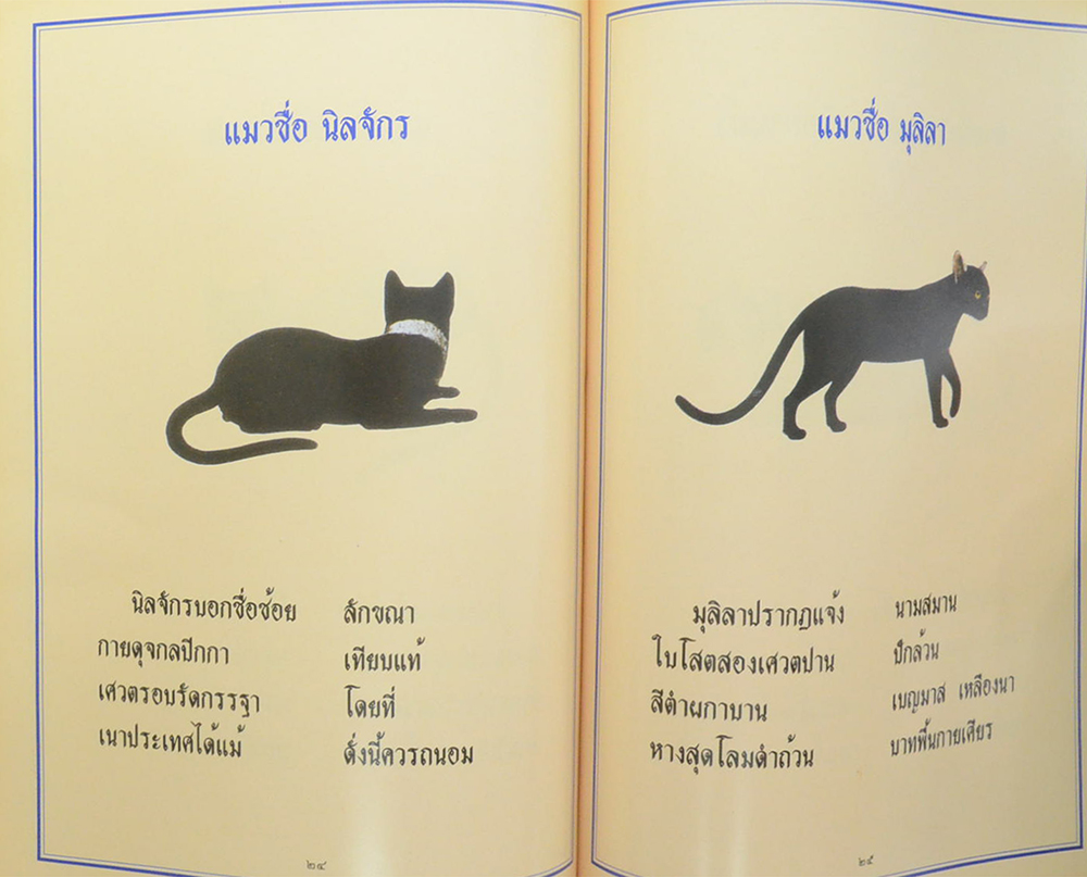 โชติปาลเถรปูชา อนุสรณ์ 100 ปี พระเทพสุธี (พรหม โชติปาโล ป.ธ.7) (ลักษณะแมวไทย)