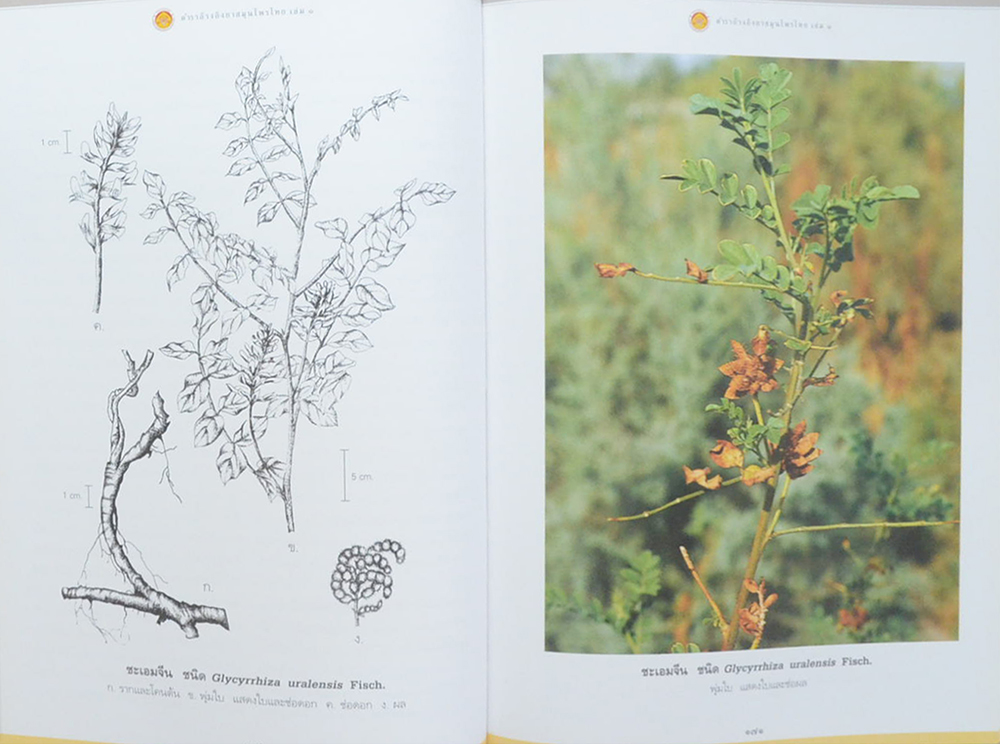 ตำราอ้างอิงยาสมุนไพรไทย เล่ม 1 (ขายตามสภาพ)