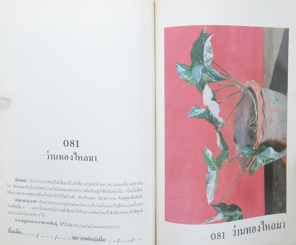 คัมภีร์ว่านและไม้มงคล ฉบับสมบูรณ์