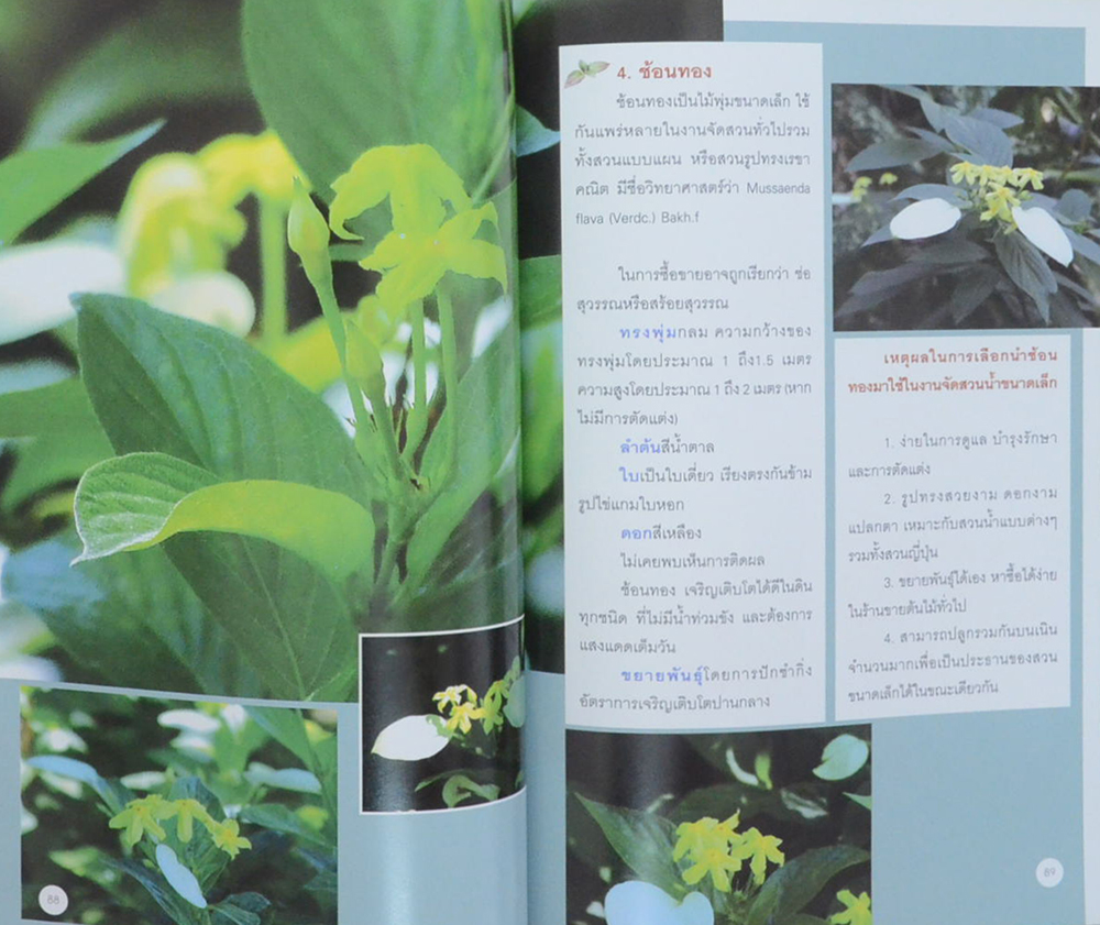 สวนน้ำในบ้าน (ขายตามสภาพ)