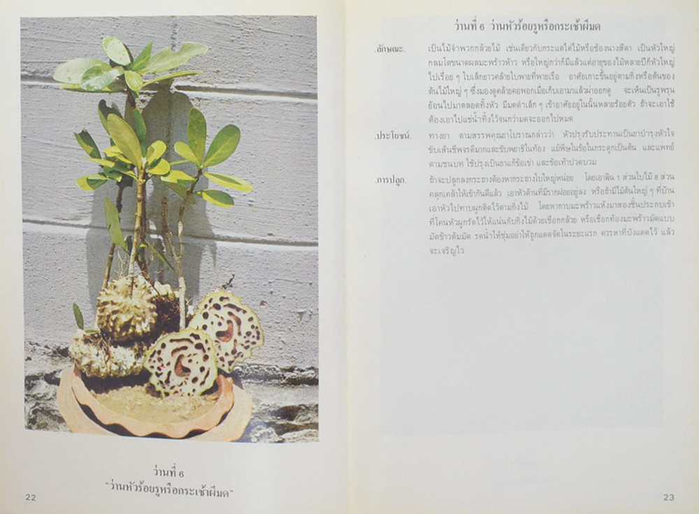 ตำราว่าน 108