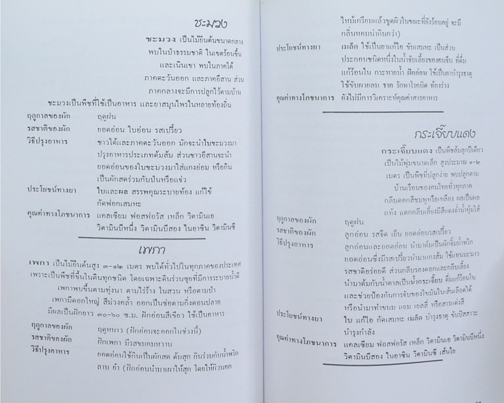 นายอรุณ คำศรีสุข (น้ำสมุนไพรเพื่อสุขภาพ)