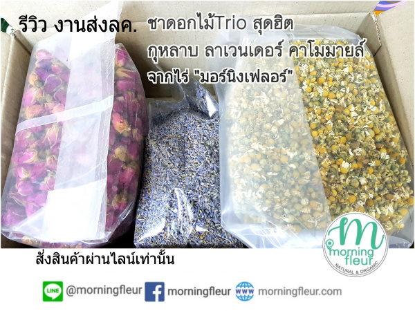♡(ราคาส่งกิโล)ชาดอกไม้&ชาสมุนไพร Morning Fleur