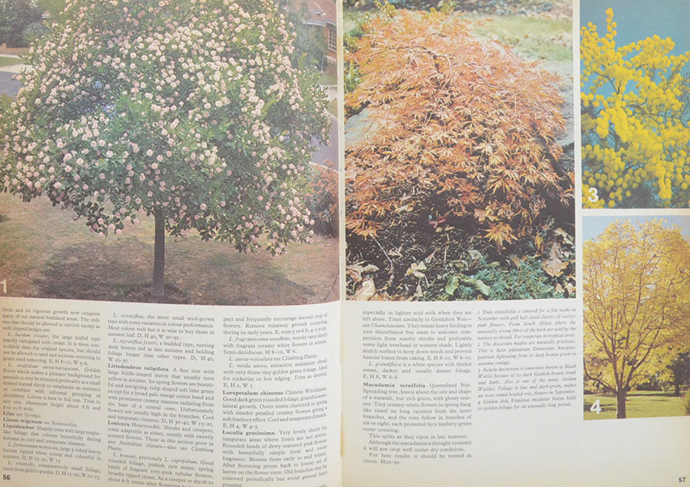Australian Women’s Weekly Gardening book